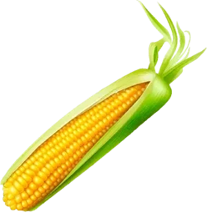 Kukurydza