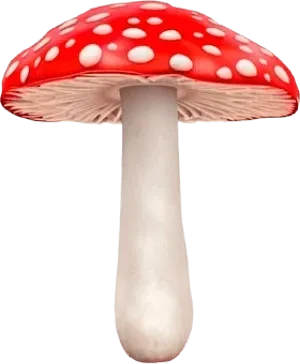 Muchomor