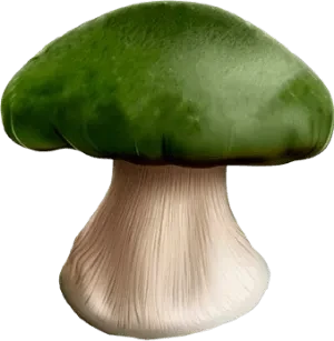 Subbol