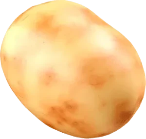 Ziemniaki